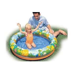    Intex Recreation 59411EP 2 Ring Vinyl Pool 44x10 Toys & Games