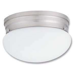   Finish globe shape fixture with white glass diffuser