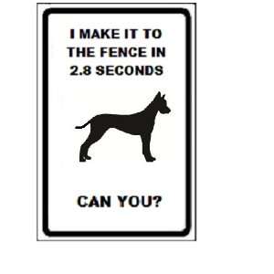  Great Dane Dog I Make It to the Fence in 2.8 Seconds Can 