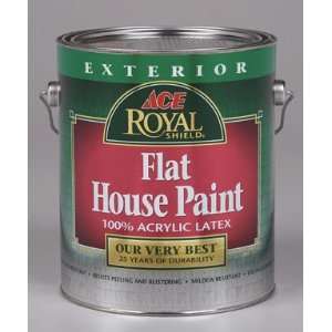    Ace Royal Shield Exterior Flat Latex House Paint