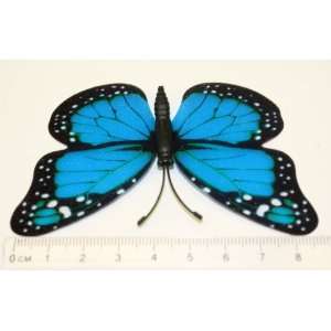   Semi Transparent Star Butterfly Fridge Magnets Ml001 