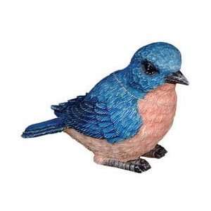 Pot Bellys   Bluebird 