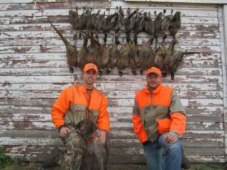 Pheasant Hunting in South Dakota   Managed Ranch  