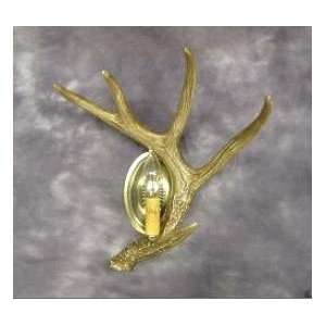  Whitetail Single Antler Wall Sconce