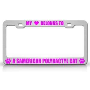 MY HEART BELONGS TO A SAMERICAN POLYDACTYL Cat Pet Auto License Plate 