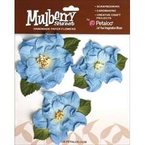  Mulberry Street Handmade Paper Wild Roses 3/Pkg Blue Arts 