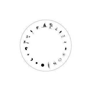  Design Wheel   Floral Nail Master Stencil Shield Beauty