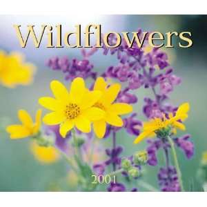  Wildflowers 2001 (9781552970386) Firefly Books Books