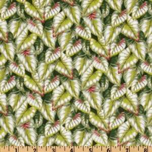  44 Wide Victorias Guest House Big Leaves Green Fabric 