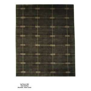    ORG Synthesis Alexander Black Forest 5 X 8 Area Rug
