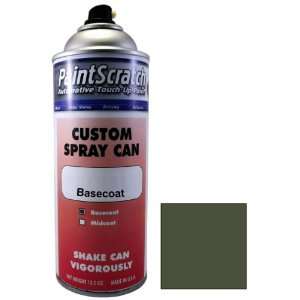   for 2008 Nissan Pathfinder Armada (color code D51) and Clearcoat