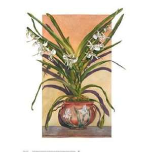  Arts And Crafts Orchids, Angraecum Supur by Sally 