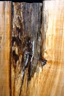 Smokey Spalted Ambrosia Maple Lumber Thick Slab 559  