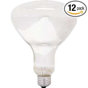  GE 24986 ProLine 250 Watt R40 Heat Light Bulb, 12 Pack 