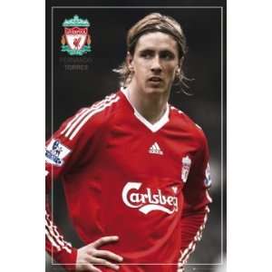  Football Posters Liverpool   Torres Pin Up Poster   35 