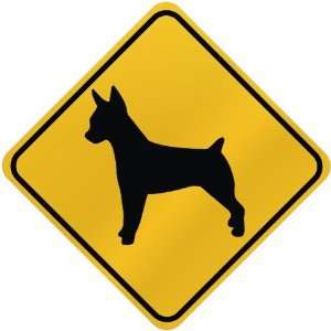  ONLY  RAT TERRIER  CROSSING SIGN DOG