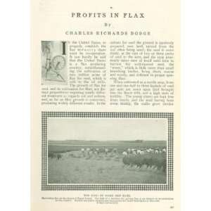  1912 Flax Growing Harvesting Cloth Making illustrated 