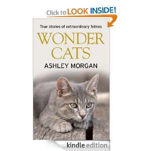 Start reading Wonder Cats  