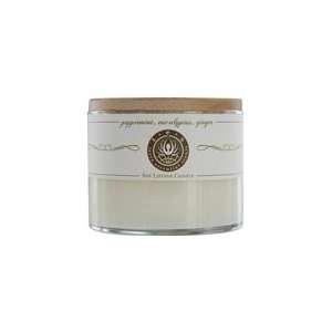  Aromatherapy Candle Soy Lotion Candle 12 Oz Burns Approx 