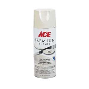   Premium Enamel Spray Paint 12 Oz. (Pack of 6)