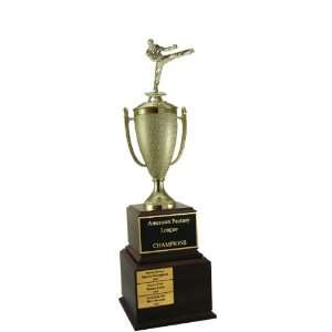  Quick Ship Perpetual Karate Trophy