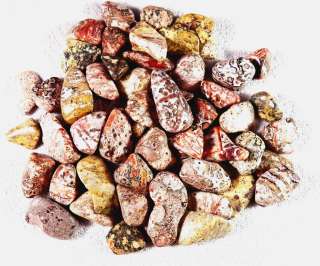   JASPER 1/2 lb Tumbled Rocks Stones Crystal Healing Jewelry MD MEXICO