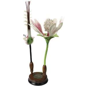  Flower Model Malvaceae