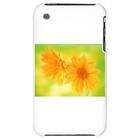 artsmith inc iphone 3g hard case daisy african yellow