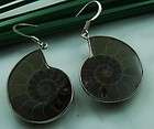 Ammonite Fossil Sterling Hook Earrings 1 5 8 AMME2 items in CAB 