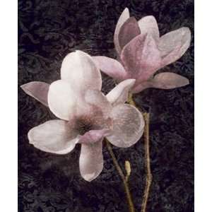 Pink Magnolias I by John Seba 10x12 