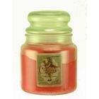 Courtneys Candles Cinnamon   Courtneys Candles Maximum Scented 16oz 