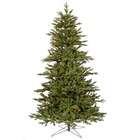 Noble Fir Christmas Tree  
