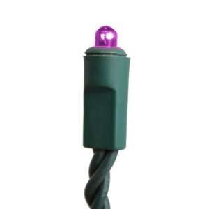  100 Purple Super Nova Mini Lights w/Green Wire