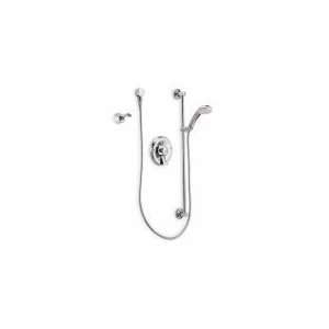 MOEN 8346 Faucet,Shower