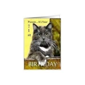    Birthday ~ Age Specific 71st ~ Cat in a box Card Toys & Games