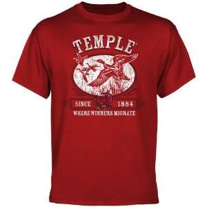  Temple Owls Winners Migrate T Shirt   Cherry Sports 