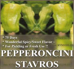Pepper seeds  PEPPERONCINI STAVROS ~ Greek heirloom ~~  