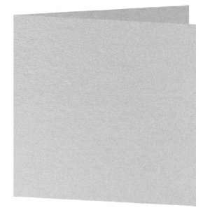   Blank Square Folder   Stardream Silver (50 Pack) Toys & Games