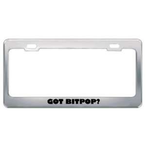 Got Bitpop? Music Musical Instrument Metal License Plate Frame Holder 