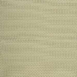 2654 Dawson in Greentea by Pindler Fabric 