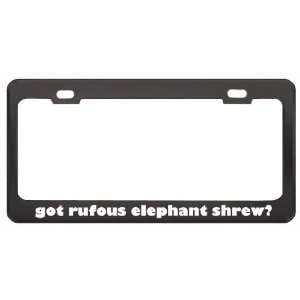 Got Rufous Elephant Shrew? Animals Pets Black Metal License Plate 