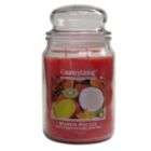 Country Living 18 Oz. Jar Candle Sweet Pea