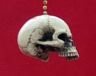 Skull fan light pull chain punk goth Skeleton USA #53  