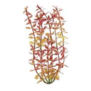 Tetra Water Wonders Red Ludwigia Plant 18in 
