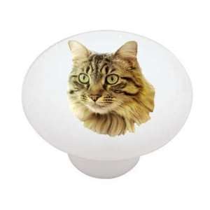 Main Coon Cat Decorative High Gloss Ceramic Drawer Knob 