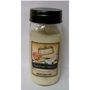  Spiced Apple Cider 24 oz Swan Creek Soy Candle