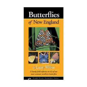  New Adventure Publications Inc Butterflies New England Fg 