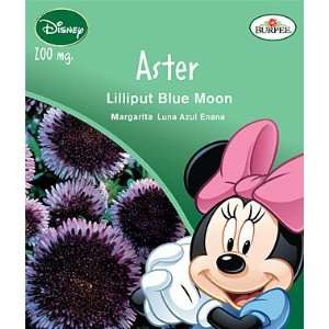  Disney Mickey, Aster, Lilliput Blue Moon 1 Pkt. Kitchen 