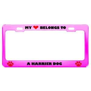  A Harrier Dog Pet Pink Metal License Plate Frame Tag 