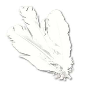  Pams Craft Feathers  Indian Feathers 10 Pack Of 5 White 
